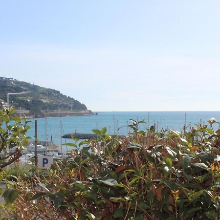 Froggy House Villa San Lorenzo al Mare Exterior foto