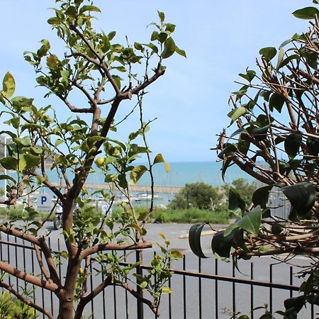 Froggy House Villa San Lorenzo al Mare Exterior foto